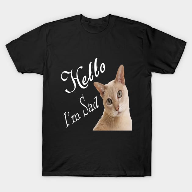 Hello my cat sad T-Shirt by Ahmed1973